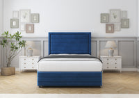 Navy Plush