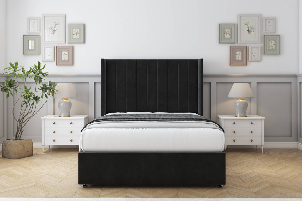 Black Plush