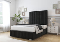 Black Plush