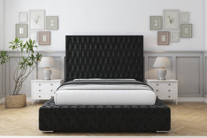 Black Plush
