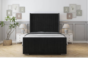 Black Plush