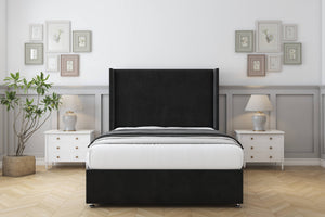 Black Plush