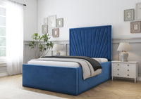 Navy Plush