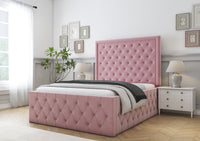 Blush Plush