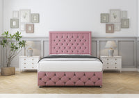 Blush Plush