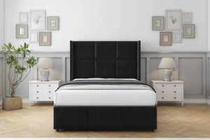 Black Plush