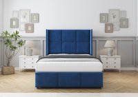 Navy Plush