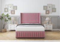 Blush Plush