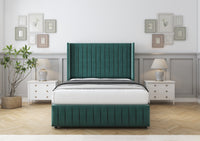 Emerald Plush