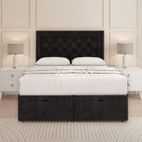 Black Plush