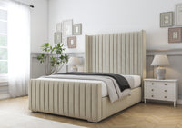 Cream Plush