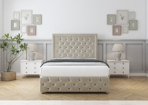 Cream Plush