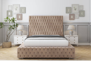 Mink Naples
