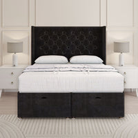 Black Plush