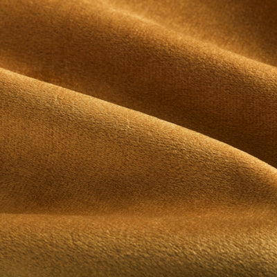 Mustard Plush