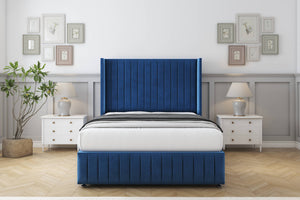 Navy Plush