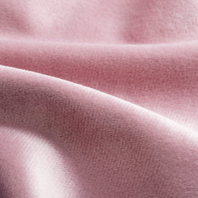 Pink Plush
