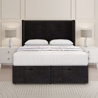 Black Plush