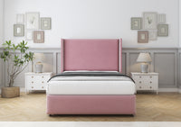 Blush Plush