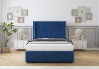 Navy Plush