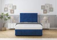 Navy Plush