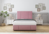 Blush Plush