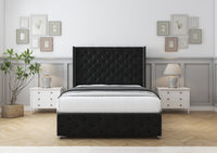 Black Plush
