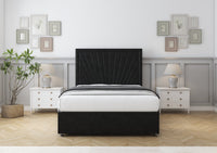 Black Plush