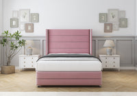 Blush Plush