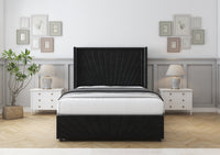 Black Plush