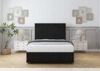 Black Plush